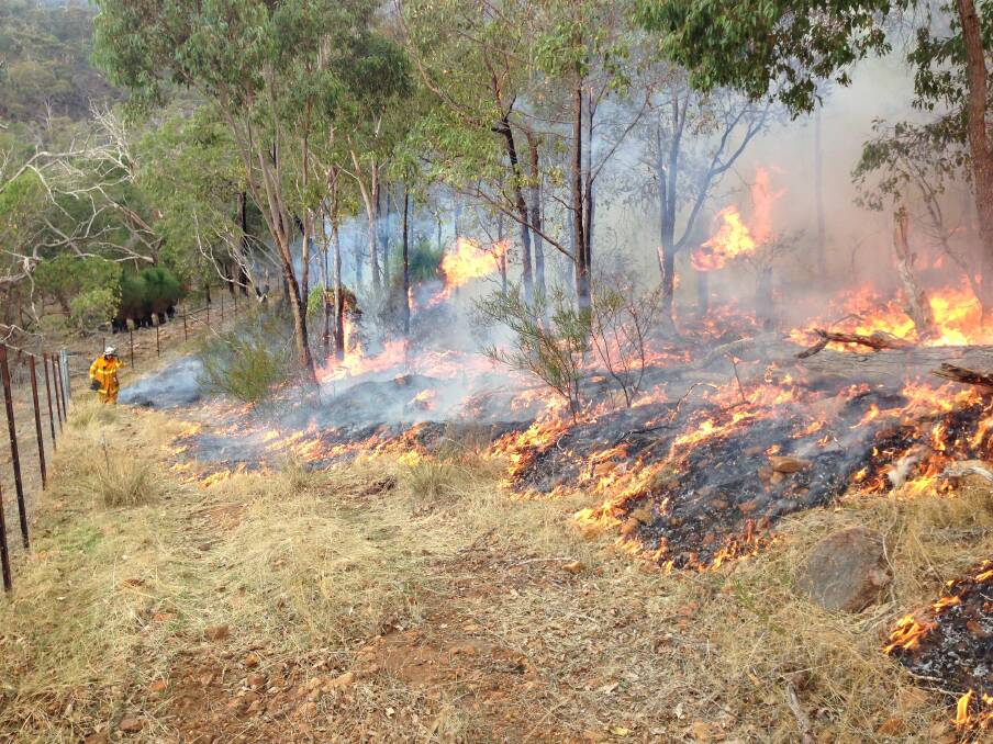 A file photo of a hazard reduction burn.