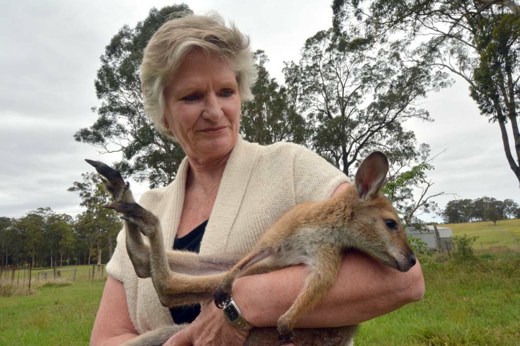Upset: FAWNA president Meredith Ryan says a Telstra decision to cease a remote telephone diversion system is jeopardising the work of the wildlife rescue service.
