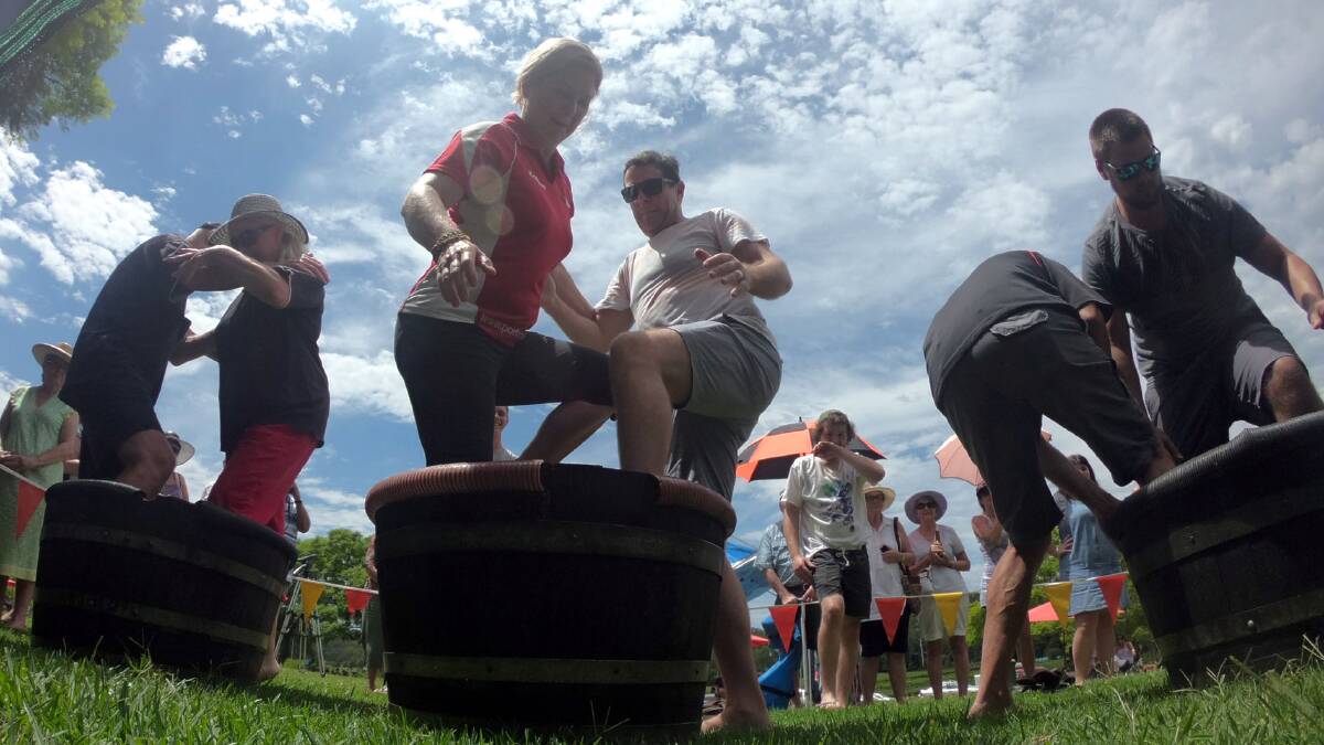 Grape stomp: The Bago Vineyard will host the 22nd Grape Stomping Championships at the Bago Road vineyard on Sunday February 9.