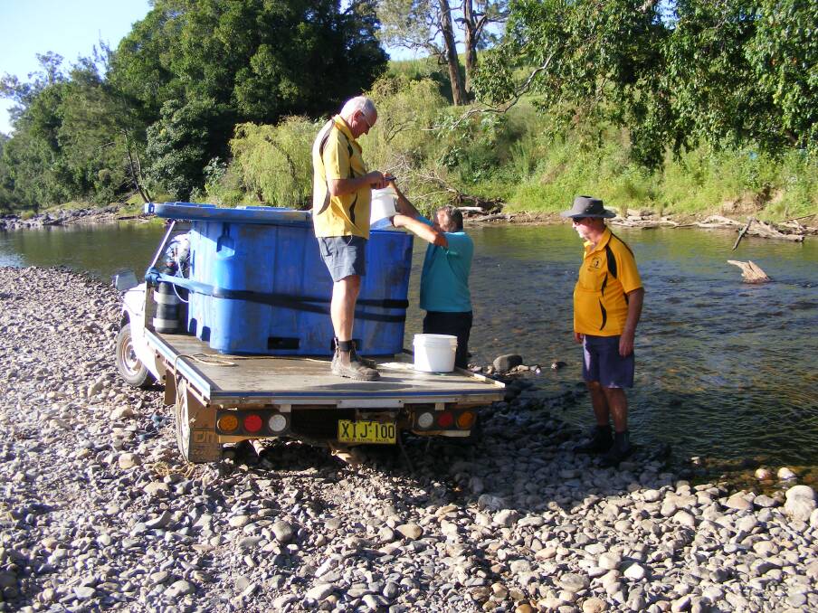 Restocking: Ron Hopkins and Rodney Adams preparing to release fingerlings into the waterways in 2018.