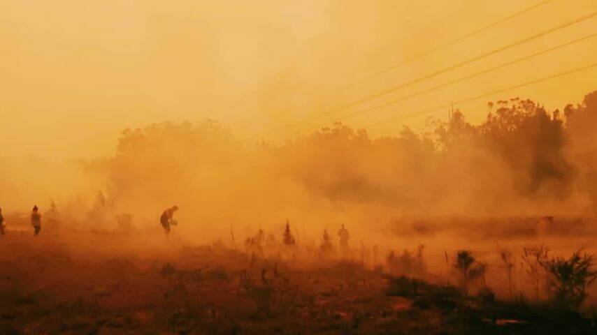 Fire ground: Residents battling the bushfire in the Thrumster area. Photo courtesy of Talaya Abbott