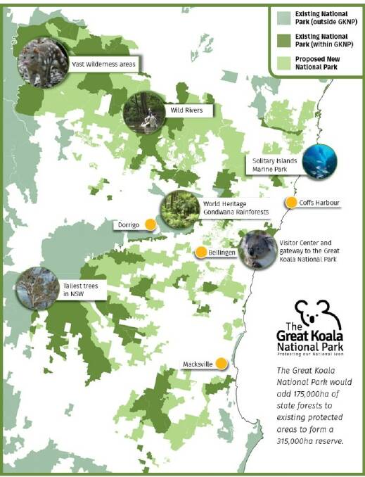Park plan: A report into koala habitat in NSW has made 42 recommendations, including establishing a great koala national park.