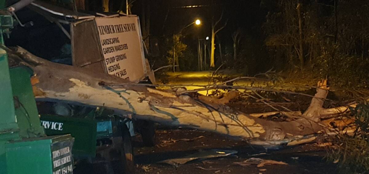 Branch down: A Port Macquarie reader forwarded us this photo of a tree limb that had fallen onto Lord Street.