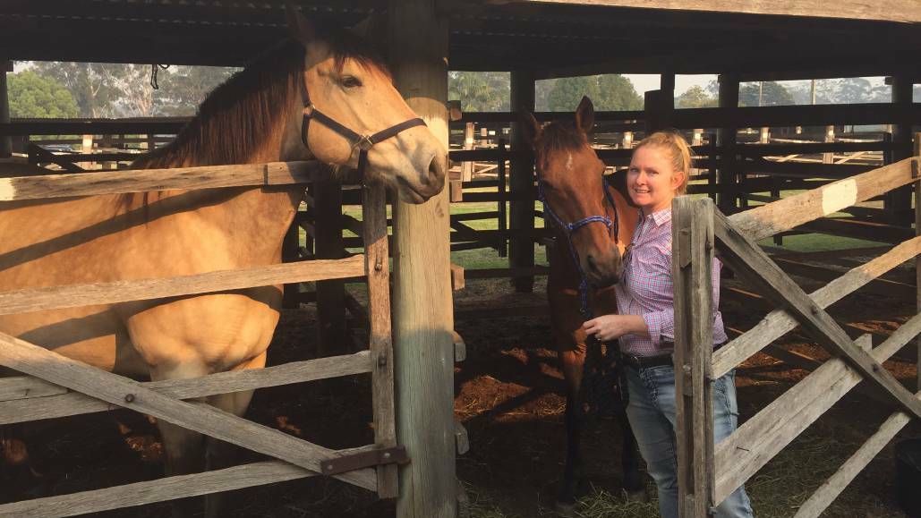 Refuge: Rebecca Keogh with her precious horses, Beau and Indi, at Wauchope Showground where they spent the night after fleeing the bushfire in Port Macquarie. 