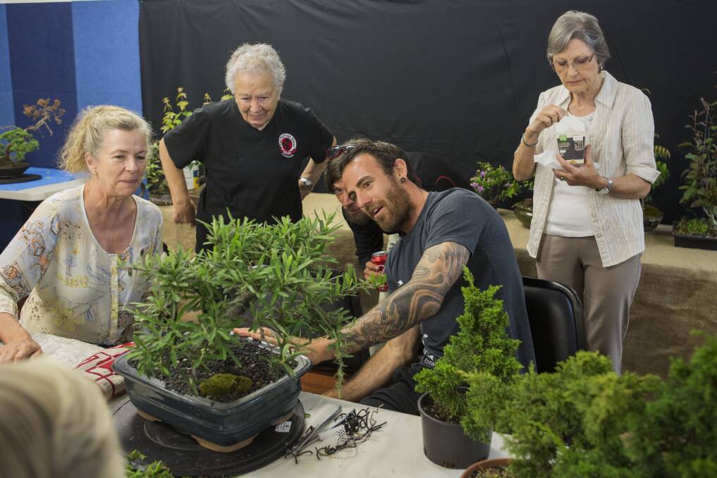 It's a craft: Hastings Bonsai Group members discussing the latest trends.