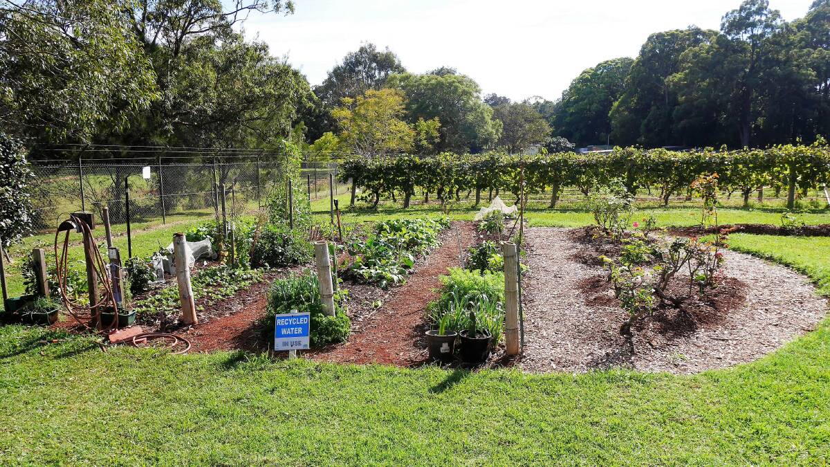 Beautiful gardens: Douglas Vale Historic Homestead and Vineyard will host its open day on Saturday October 19 as part of National Gardening Week.