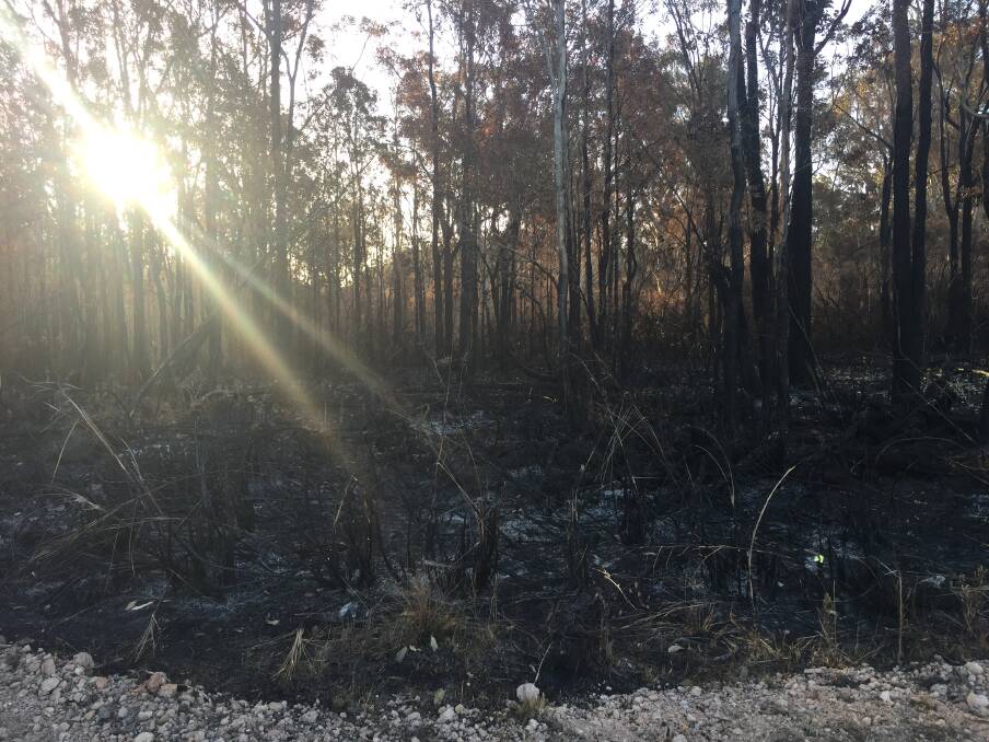 The Lindfield Park Road bushfire has impacted around 520 hectares of land.