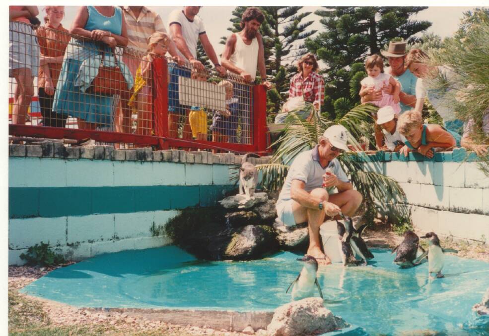 Our history: Tourists Paradise includes some fabulous photos including penguin feeding at King Neptune's Park, c1980.