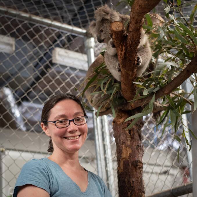 Helping hand: Dr Kara Youngentob and colleague Karen Ford rescued several koalas during the 2019 and 2020 bushfire season. Photo: Marta Yebra.