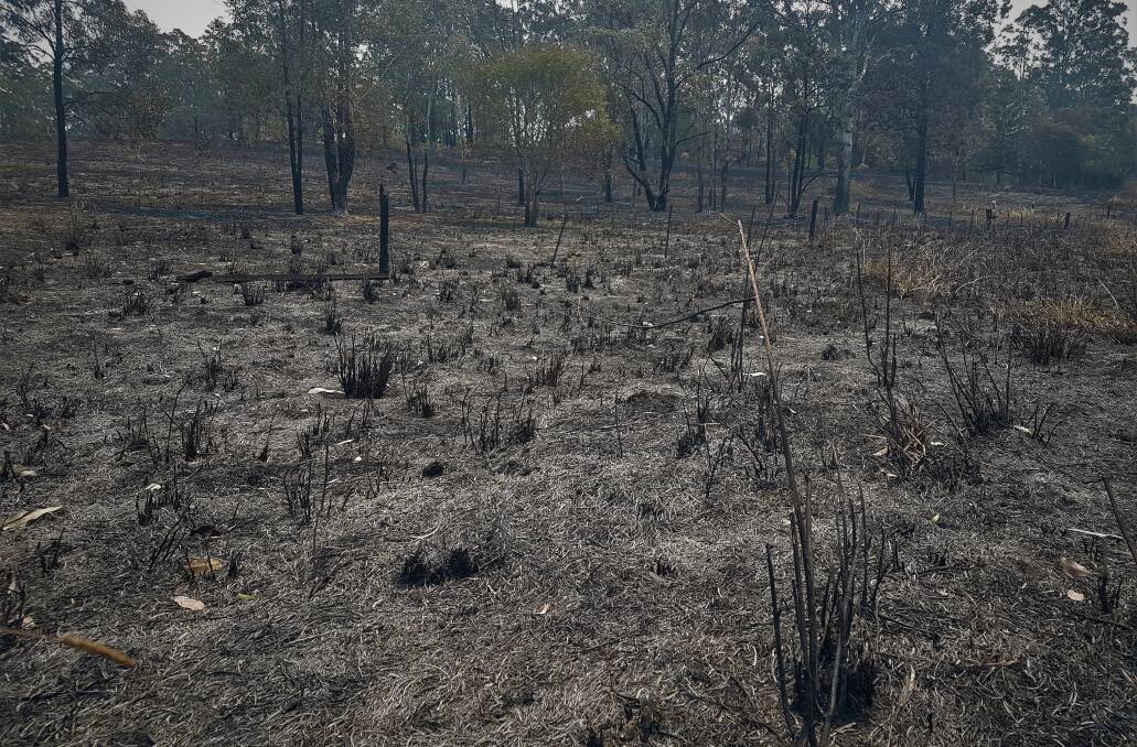 Critical: The EFS says Tuesday is shaping up as a critical point in the battle to control several major bushfires across the Mid-North Coast.