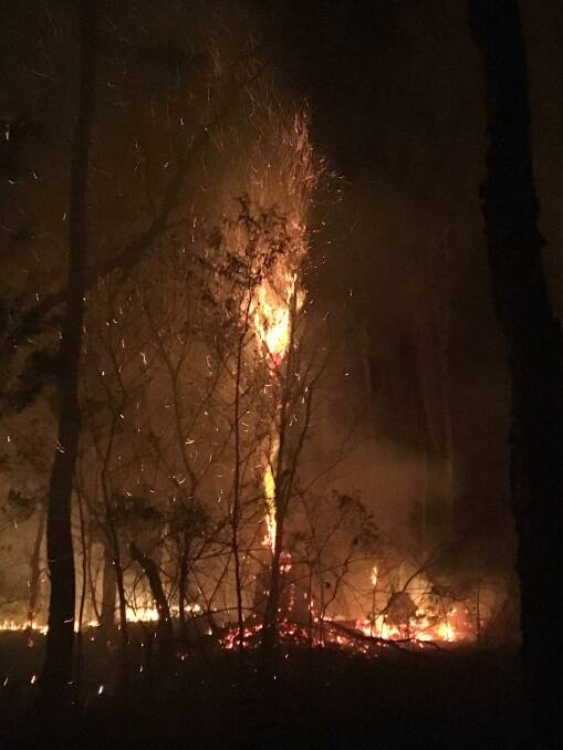Rapid fire: Forest Parkway was in the direct line of the Crestwood/Lake Cathie fire. Photo: Glen Dale