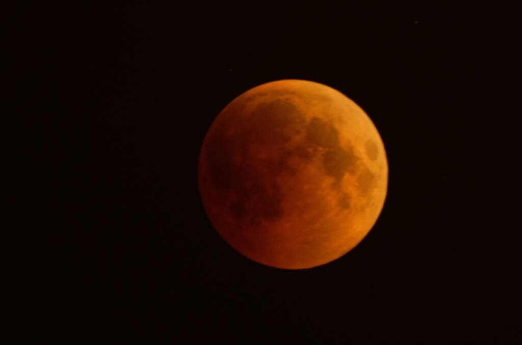 Top shot: Port Macquarie's Nicholas Kocis snapped this amazing photo of the red moon at around 6.30am on Saturday.