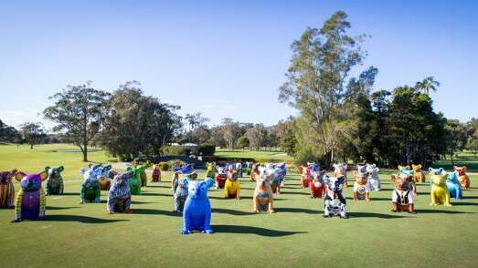 Awards: The Hello Koalas Sculpture Trail has been nominated in two categories for the NSW Tourism Awards.