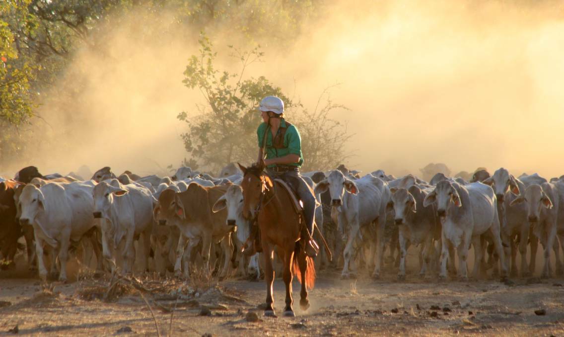 Vast tracts of the Territory are leased to pastoralists for their massive cattle stations.