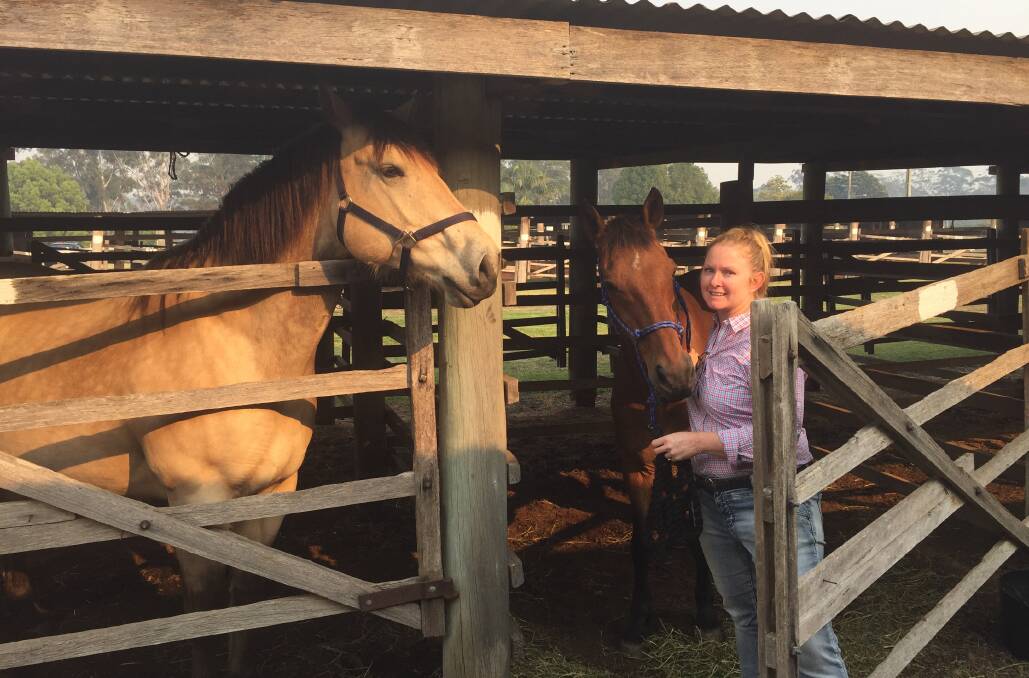 SHELTER: Rebecca Keogh with her precious horses, Beau and Indi, at Wauchope Showground where they spent the night after fleeing the bushfire in Port Macquarie.