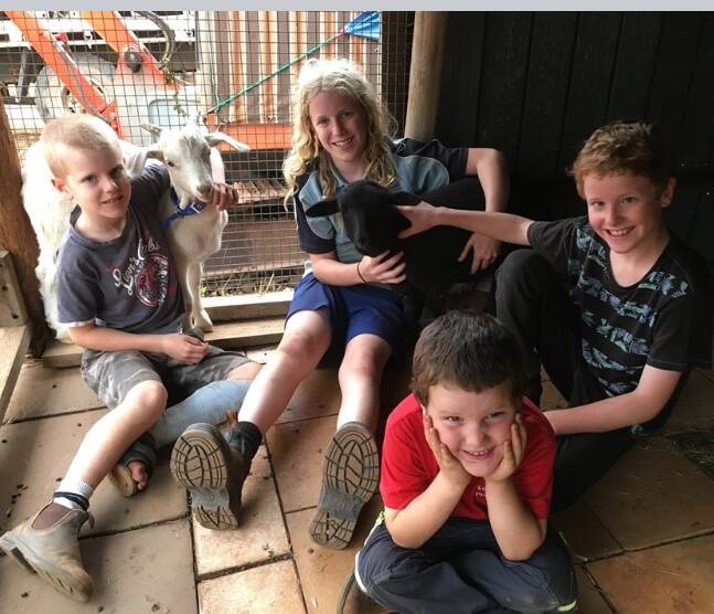 KIDDING AROUND: The Lovett family are delighted with their new goat, Clyde, who met Bonnie the lamb in their new home after the fire.