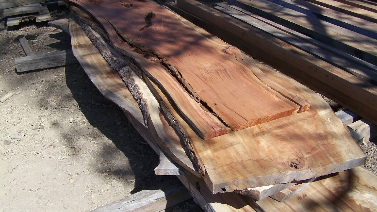 STAR ATTRACTION: A Huon Pine slab from Tasmania is one of 30 lots which will be auctioned on Sunday. Photo: Boutique Timbers.
