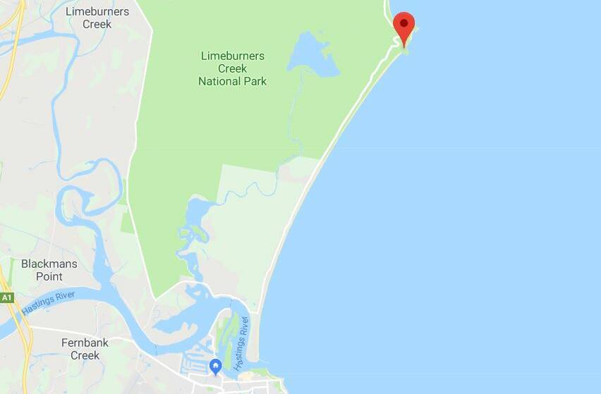The whaler shark was spotted at Queens Head near Limeburners Creek National Park on the North Shore.
