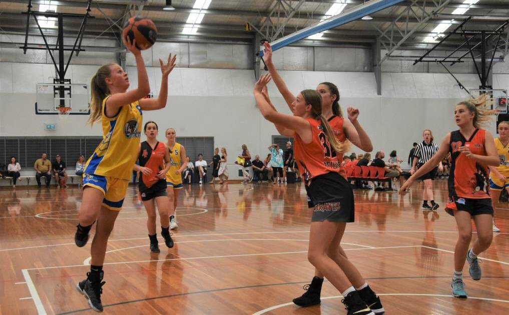 On target: Port Macquarie Basketball Association has flagged an October 25 restart date for their junior competition with fully-vaccinated players.