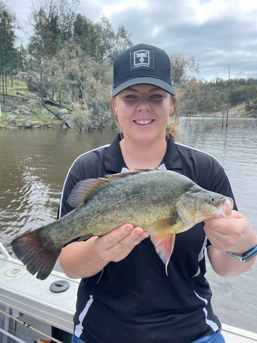 This week's photo is of Kate Shelton with my first Golden Perch (yellowbelly) which was caught at the foot of a creek in Copeton Dam on a spinner bait.