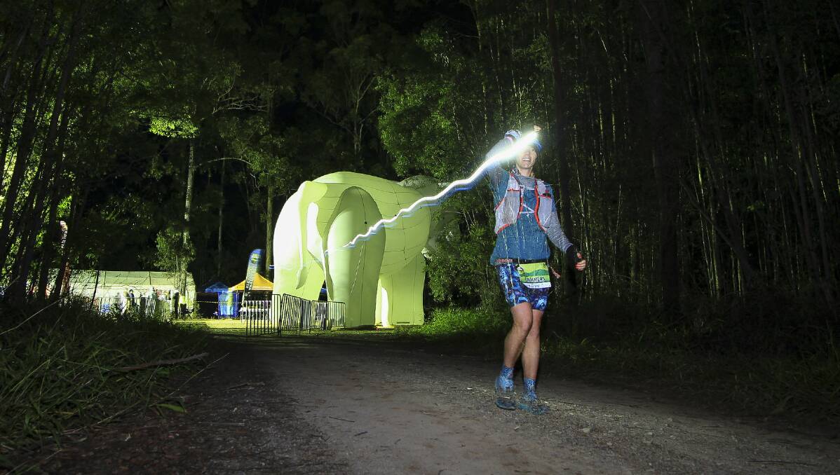 Running through the night: Runners will start running into a dark state forest from 8pm on Friday night.