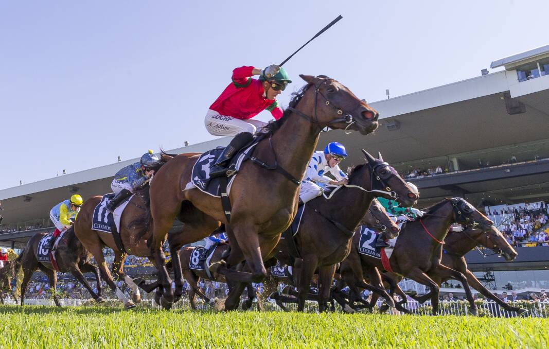 Another win: Andrew Adkins rides Daysee Doom
to win the Coolmore Classic at Rosehill Gardens.
Photo: AAP/Craig Golding