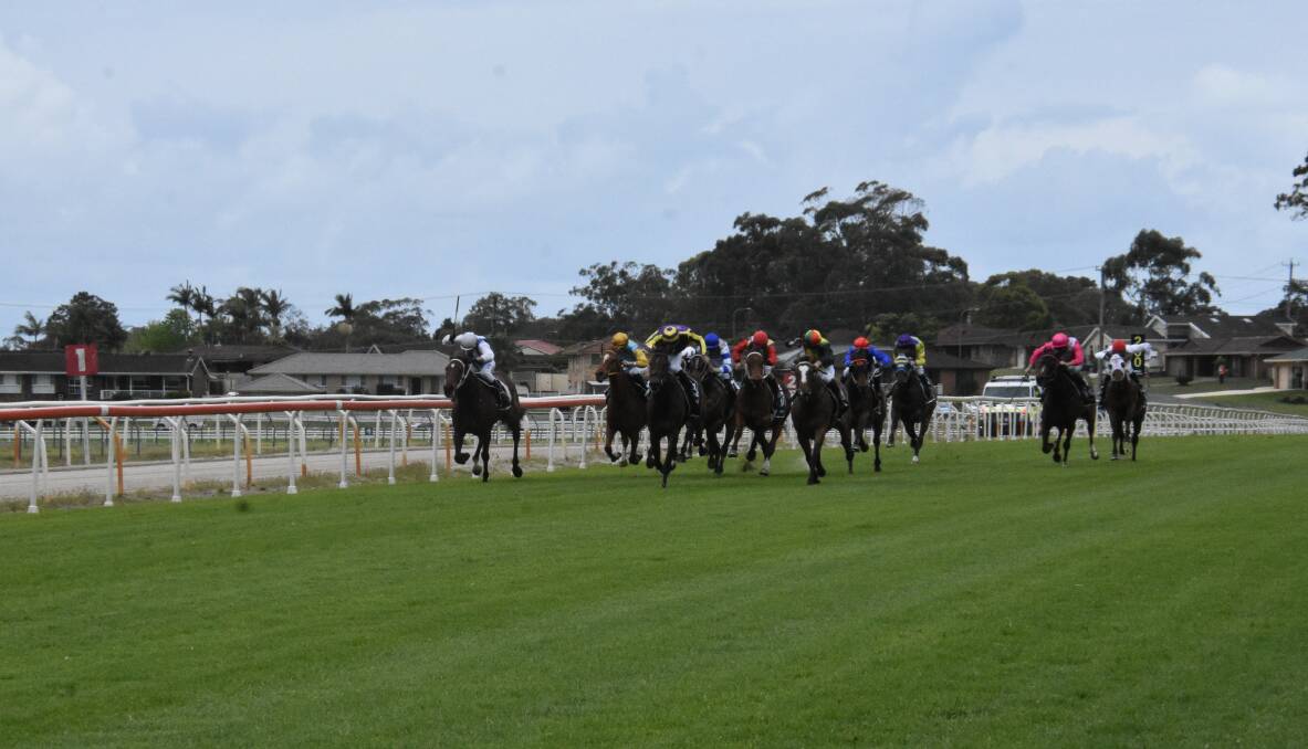 In it to win it: Horses charge down the straight during the Port Macquarie Cup carnival on Saturday.