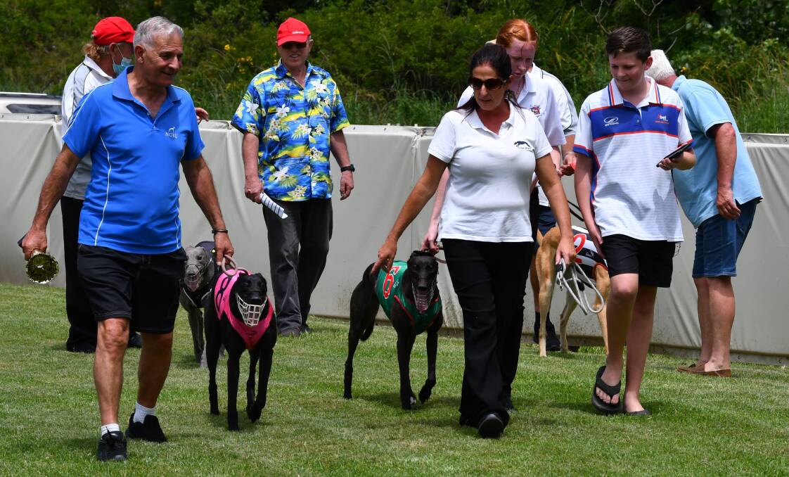 Stakeholders fear the future of greyhound racing in Kempsey and Wauchope. Photo: Penny Tamblyn.