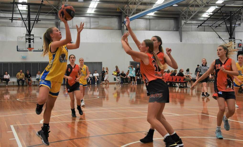 Now or never: Port Macquarie basketball is at a crossroads, but their board has a vision for the future regarding junior development.