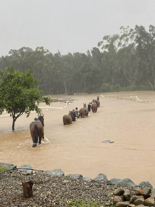 Out to safety: Melinda Turner and her five horses are walked out towards the Pacific Highway. Photo: supplied