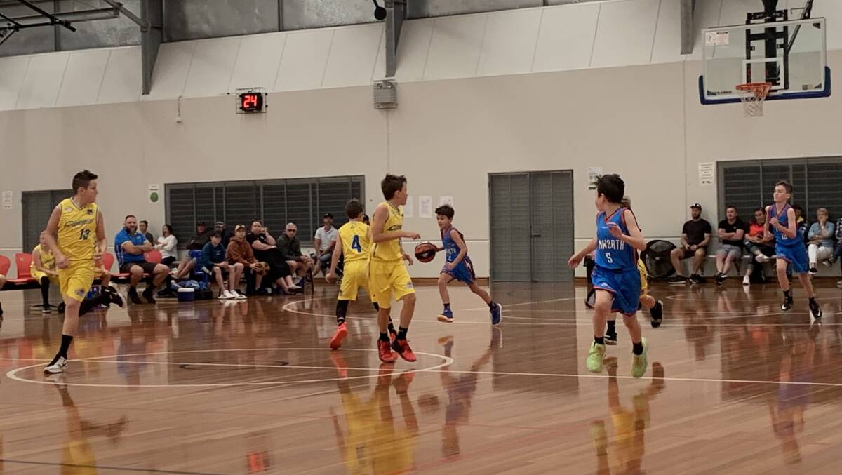 Back on deck: Representative basketball returned to Port Macquarie last weekend. Photo: supplied