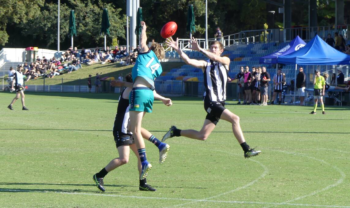 On song: Port Macquarie's Luke Boxhall takes a mark in the Magpies' 51-point semi-final victory on Saturday. Photo: supplied