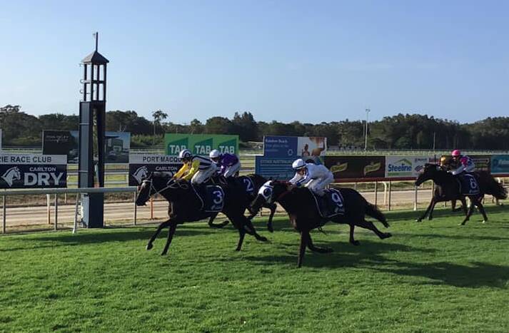 Winner: Our Intrigue saluted in the 2021 Port Macquarie Cup on Friday. Photo: supplied/Rod Fuller