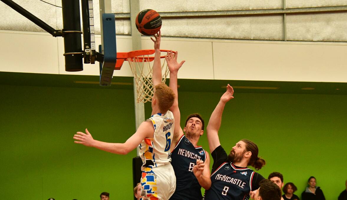 Jackson Brody goes for a lay-up in the Dolphins' 97-69 win over Newcastle. Picture by Paul Jobber