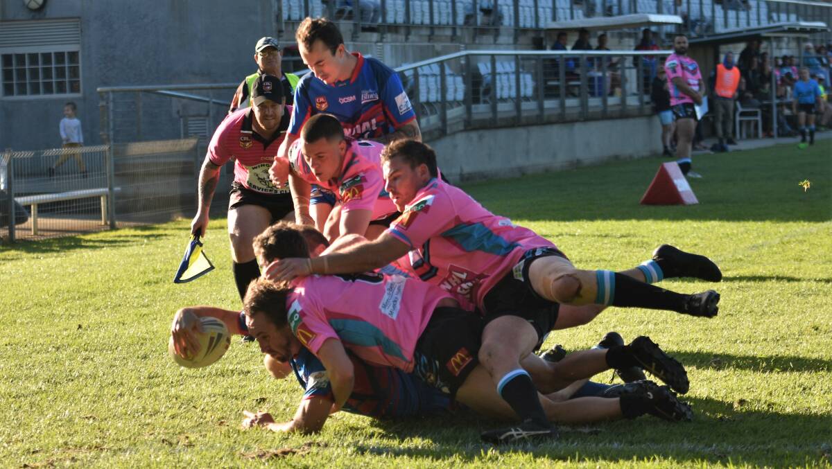 Across in cover: Port Macquarie Sharks' scrambling defence prevents Wauchope centre Beau White from scoring in the corner.