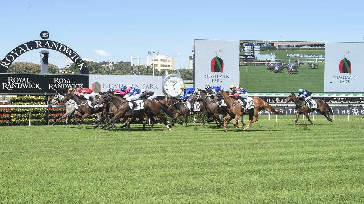 Get there: A slow start cost Magnalane in the Country Championships final at Royal Randwick. Photo: Bradley Photographers