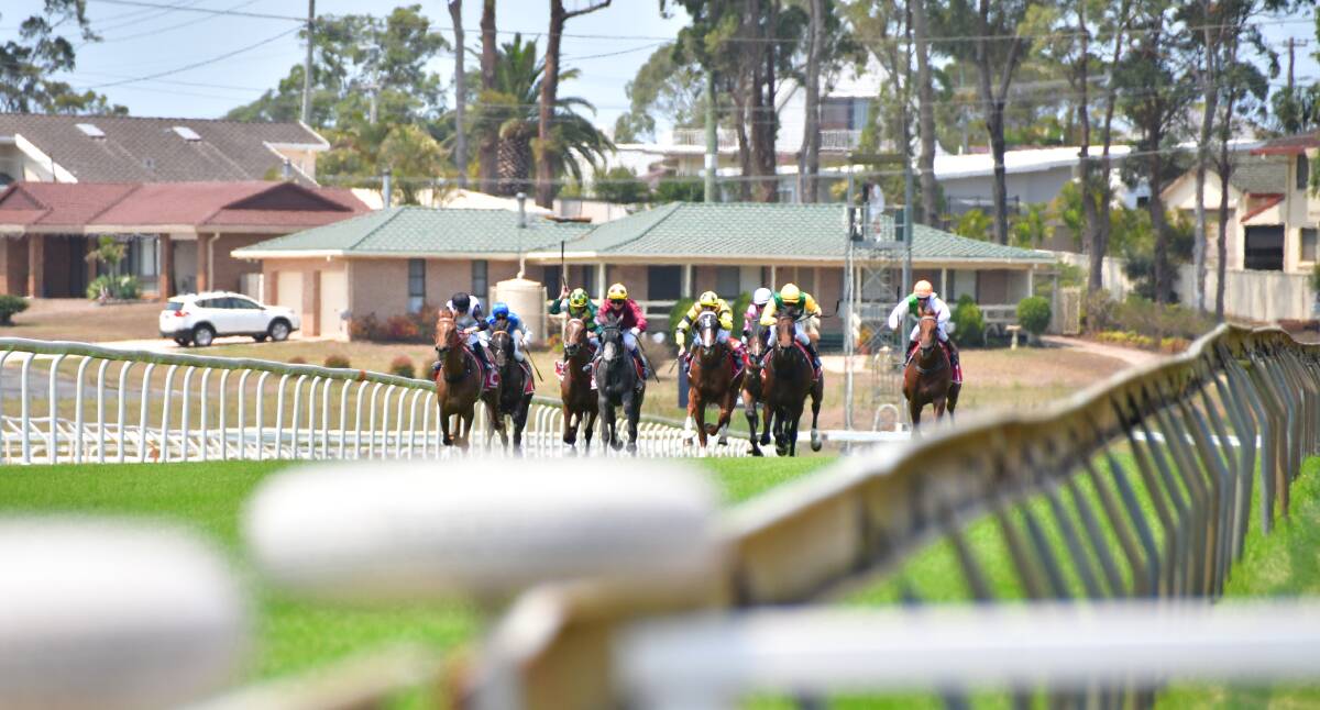 Give it some: The field heads down the straight on New Years Day at Port Macquarie.