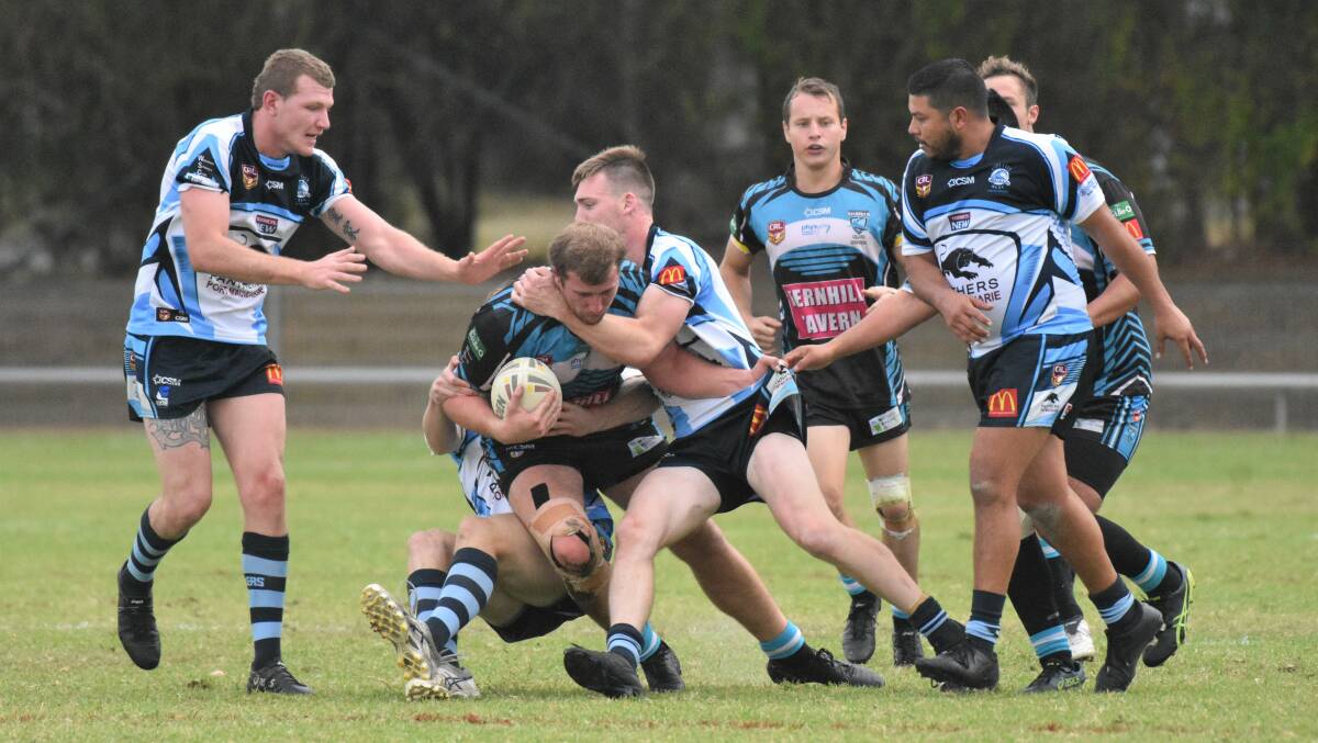 Hard yards: Port Sharks front-rower Mitch Smith takes the ball forward during a match earlier in the year.