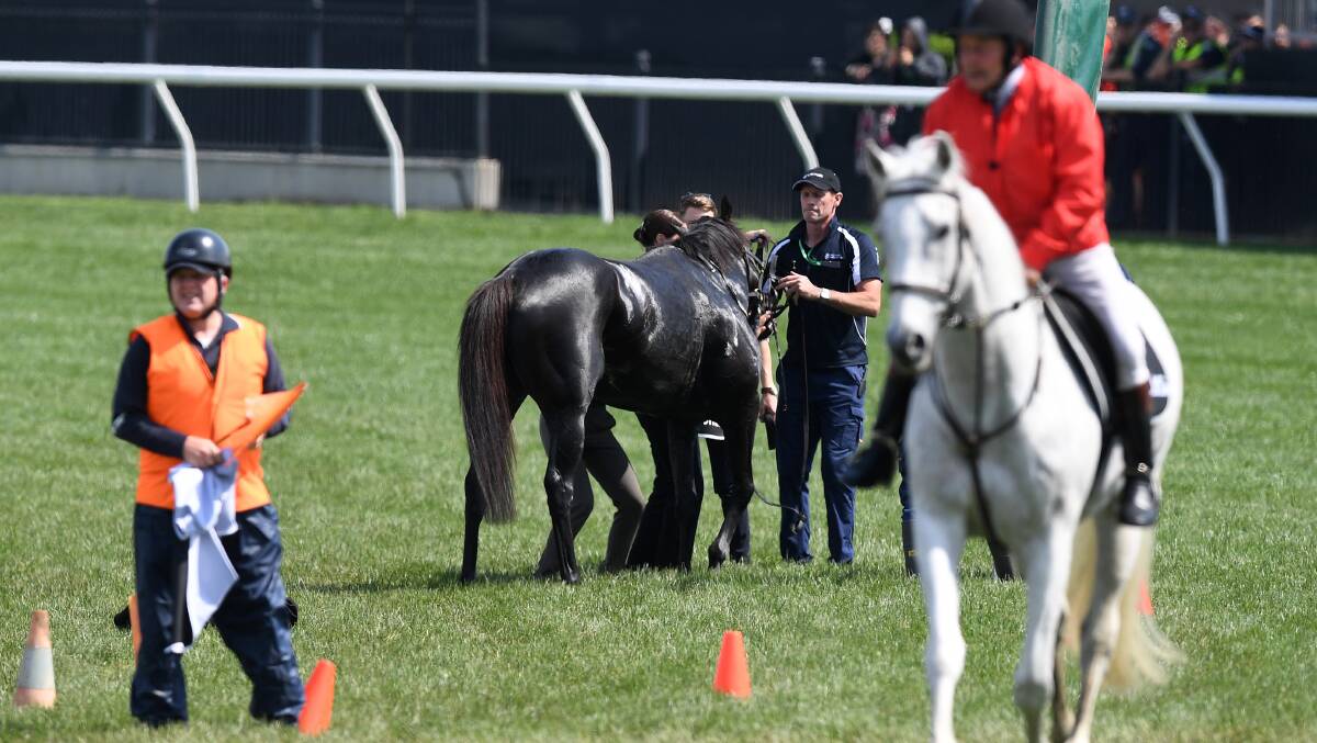 Sorry sight: Track staff respond after The CliffsofMoher was injured during the Melbourne Cup. Photo: AAP/Dan Himbrechts