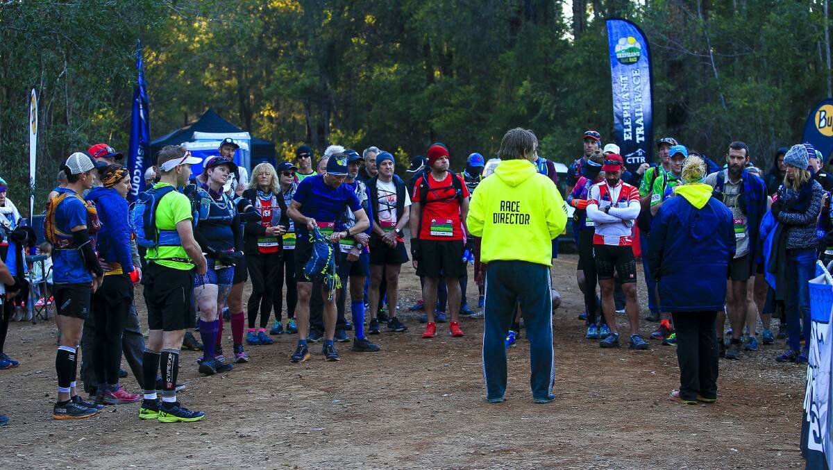 Challenge ahead: Runners line up at the start line at the weekend's Elephant Trail race. Photo: supplied