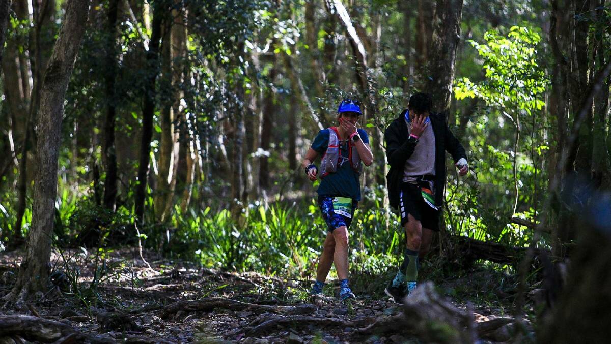 Challenging times: Runners prepare to take on the third Elephant Trail Race in Port Macquarie this weekend.