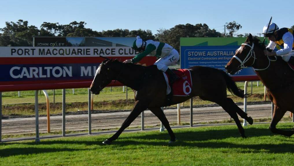 Winner: Port Macquarie Cup winner and short-priced favourite, Entente salutes at the 2020 event. Photo: Robert Dougherty