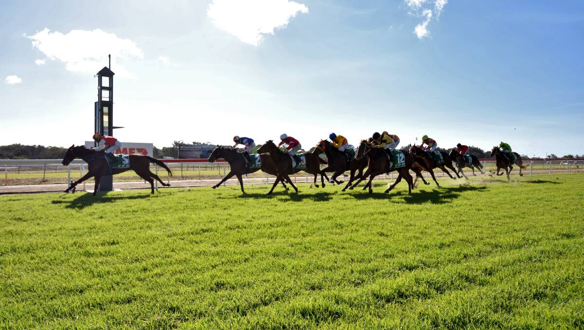 Good signs: Conditions look promising for the Port Cup Prelude on Sunday.