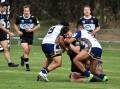 Port Macquarie Sharks and Macleay Valley managed to get a game in last weekend, but won't this weekend due to ongoing wet weather. Photo: Kurt Polock
