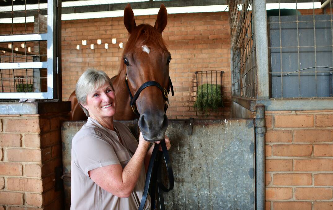 Quiet time: Jenny Graham with Magnalane after he booked his ticket to Randwick at Taree on Sunday. Photo: Paul Jobber
