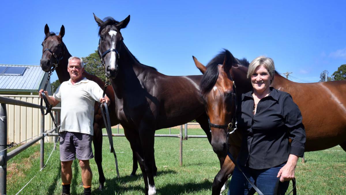 In it to win it: Awesome Pluck (centre) could be a contender for The Kosciuszko on October 19.