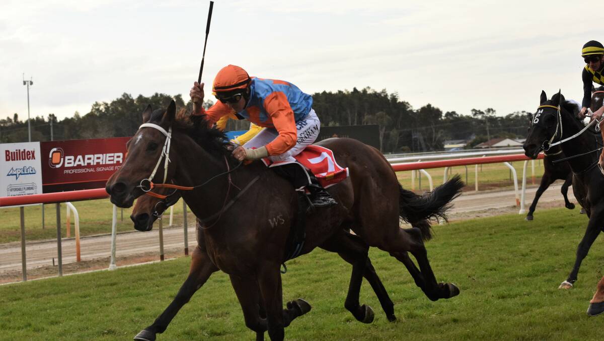 On song: O'Driscoll salutes in the Wauchope Cup. Can he back up the dose on Tuesday? Photo: Paul Jobber