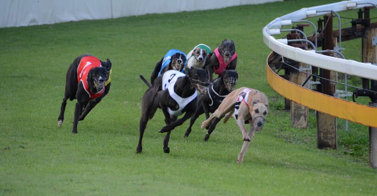 Change needed: Is the time right to start phasing out oval greyhound tracks to minimise the risk of death.