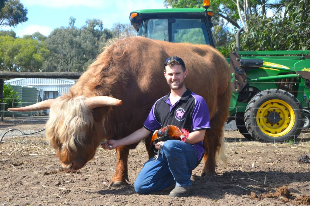 Rare Breeds Trust of Australia director, and Highland, Belted Galloway and heritage poultry breeder Scott Carter, Nuriootpa, says there needs to be recognition of the worth of all breeds. Picture by Vanessa Binks
