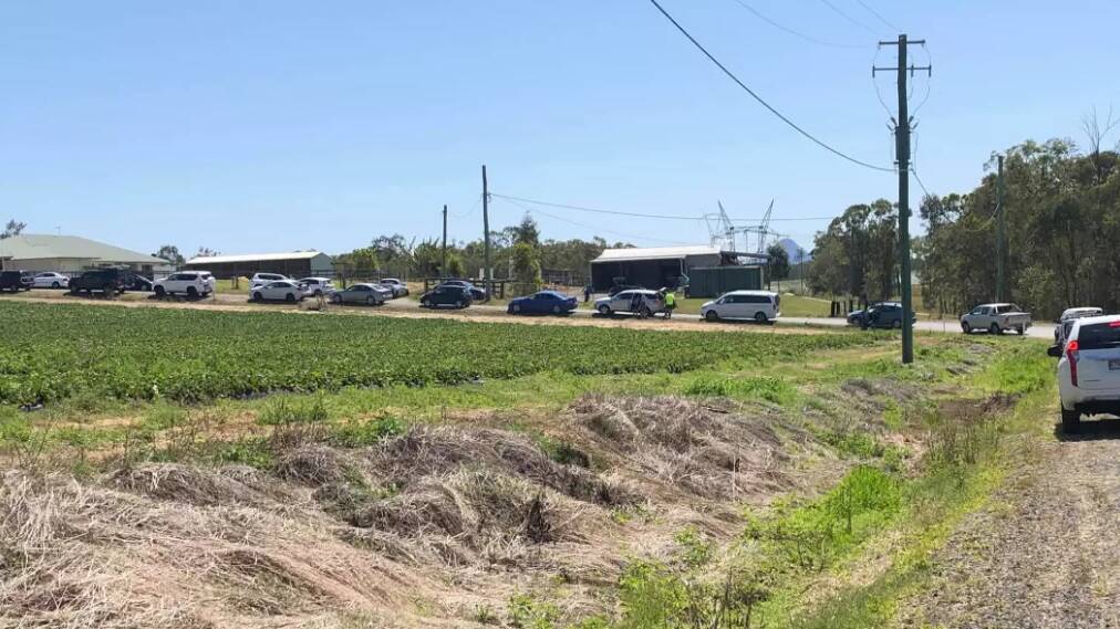 Cars queue at a Wamuran strawberry farm for two hours on Wednesday. Photo: Faith Jennings - Facebook